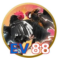 EV88
